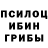 Псилоцибиновые грибы Magic Shrooms Nicholas Kaban