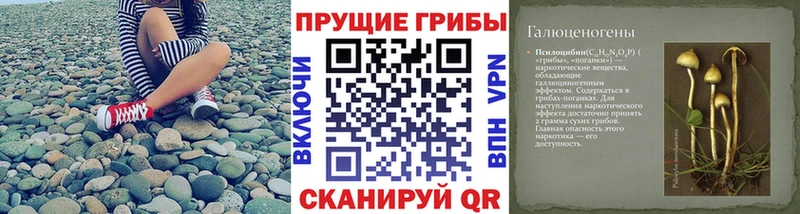 сайты даркнета Telegram  Полевской  Псилоцибиновые грибы мицелий 